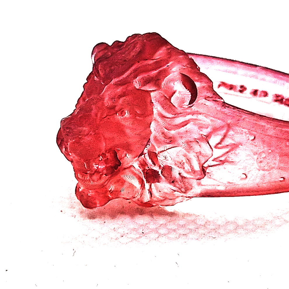 NEOREGALIA LIONHEART RING