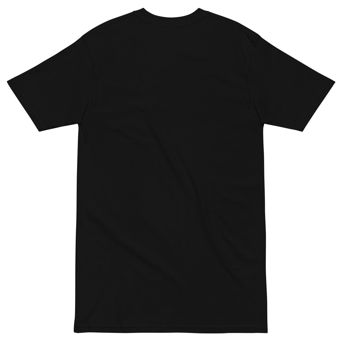 EFFEKT X GOOFY AHH HEAVYWEIGHT T-SHIRT