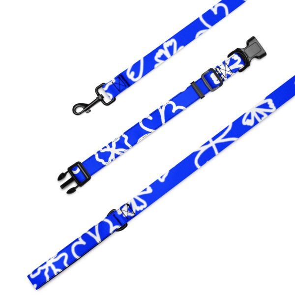 149 DESIGNS PET COLLAR & LEASH